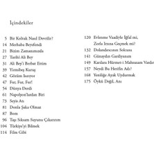 Bir Koltuk Nasıl Devrilir - Aziz Nesin