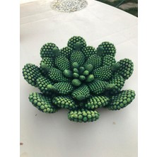 Veranin Firçasi Dekoratif Kaktüs Tabak