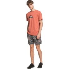 Quiksilver Complogoss Erkek T-Shirt