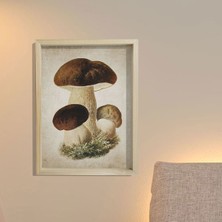 Dekor Loft Doğal Çam Çerçeveli Duvar Tablosu Antik Orman Mantarı
