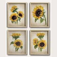 Dekor Loft Doğal Çam Çerçeveli Duvar Tablosu Antik Ayçiçeği 4' Lü Set