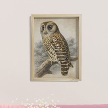 Dekor Loft Doğal Çam Çerçeveli Duvar Tablosu Antik Baykuş