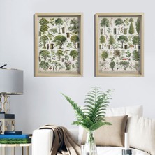 Dekor Loft Doğal Çam Çerçeveli Duvar Tablosu Antik Ağaçlar ve Isimleri