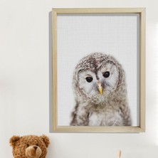 Dekor Loft Doğal Çam Çerçeveli Bebek ve Çocuk Odası Duvar Tablosu Baykuş
