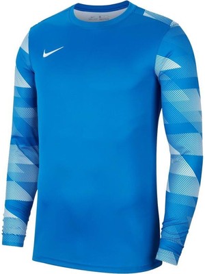 Nike M Nk Df Park Iv Jsy Gk CJ6066-463 Kaleci Forma