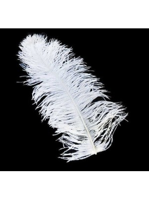 Hayaller Dükkanı Tüy ( Organizasyon Için) 45*50CM Beyaz  Pk1