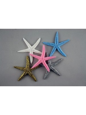 Hayaller Dükkanı Deniz Yıldızı Büyük 10 Adet Sarf Malzemesi