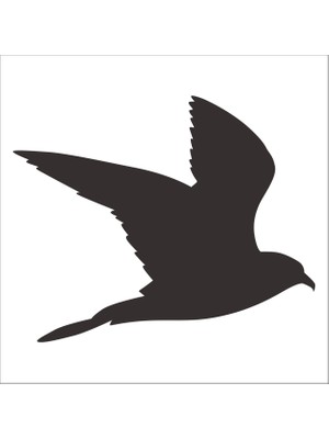 Technopa Kuş Folyo Sticker 94 50 cm Uzunluk