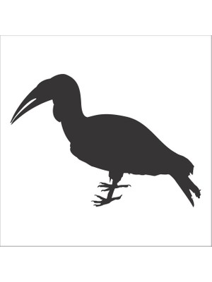 Technopa Kuş Folyo Sticker 115 160 cm Uzunluk