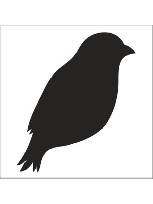 Technopa Kuş  Folyo Sticker 84 40 cm Uzunluk