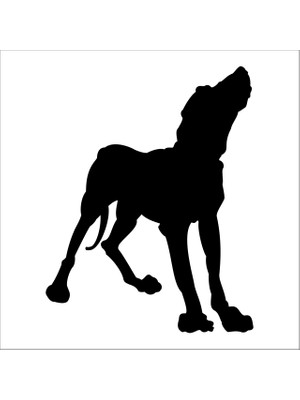 Technopa Köpek Folyo Sticker 51 90  cm Uzunluk