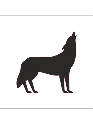 Technopa Kurt Folyo Sticker 69 130 cm Uzunluk