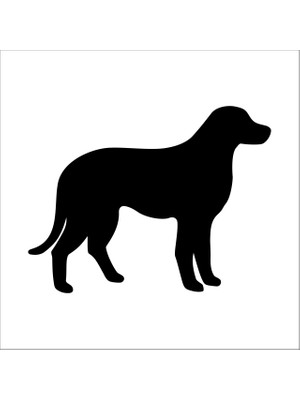 Technopa Köpek  Folyo Sticker 38 90  cm Uzunluk