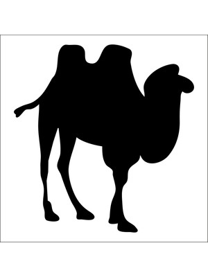 Technopa Deve Folyo Sticker 62 60 cm Uzunluk