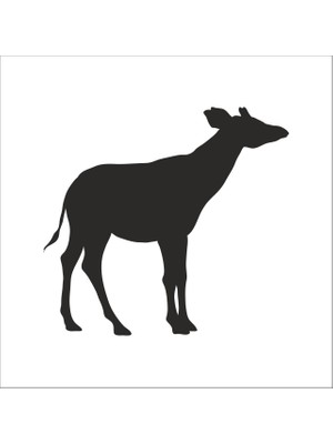 Technopa Geyik Folyo Sticker 96 90  cm Uzunluk