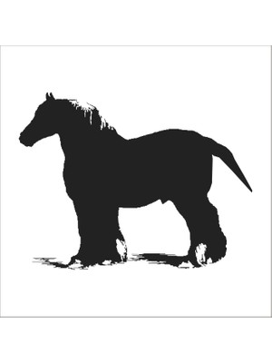 Technopa At Folyo Sticker 15 160 cm Uzunluk