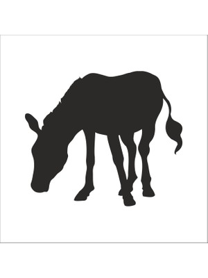 Technopa Eşek  Folyo Sticker 82 200 cm Uzunluk