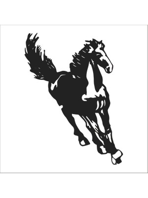 Technopa At Folyo Sticker 34 160 cm Uzunluk