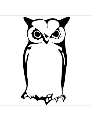 Technopa Baykuş Folyo Sticker 51 100 cm Uzunluk