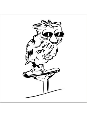 Technopa Baykuş Folyo Sticker 52 50 cm Uzunluk