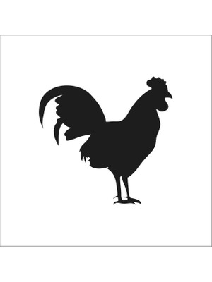 Technopa Horoz Folyo Sticker 103 50 cm Uzunluk