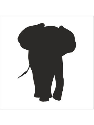 Technopa Fil Folyo Sticker 86 60 cm Uzunluk