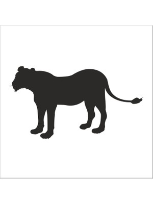 Technopa Aslan Folyo Sticker 4 130 cm Uzunluk