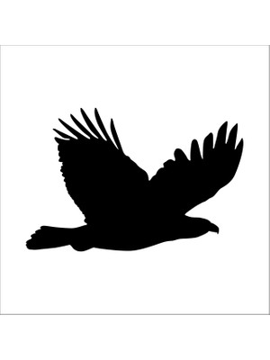Technopa Kartal Folyo Sticker 132 60 cm Uzunluk