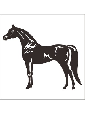 Technopa At Folyo Sticker 23 130 cm Uzunluk