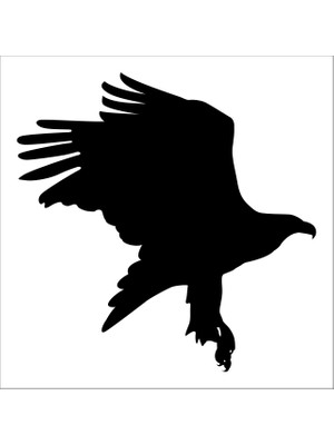 Technopa Kartal  Folyo Sticker 134 200 cm Uzunluk