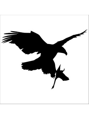 Technopa Kartal  Folyo Sticker 135 40 cm Uzunluk