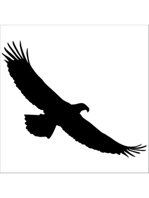 Technopa Kartal  Folyo Sticker 127 160 cm Uzunluk