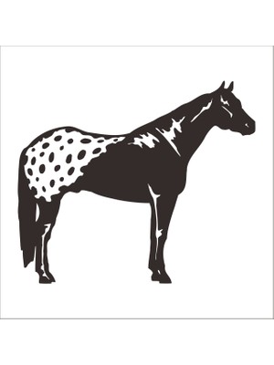 Technopa At Folyo Sticker 26 40 cm Uzunluk