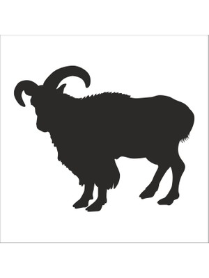 Technopa Dağ Keçisi  Folyo Sticker 60 130 cm Uzunluk