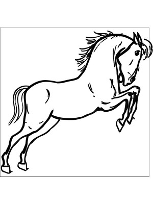 Technopa At Folyo Sticker 10 30 cm Uzunluk