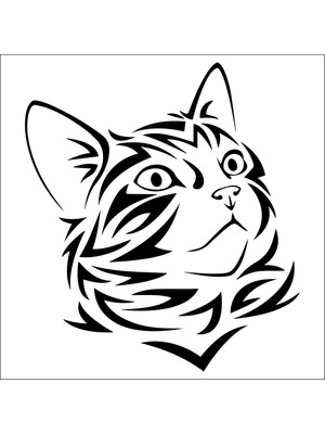 Technopa Kedi  Folyo Sticker 138 90  cm Uzunluk