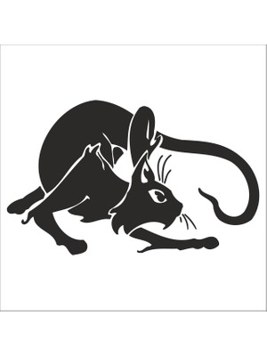 Technopa Kedi  Folyo Sticker 171 60 cm Uzunluk