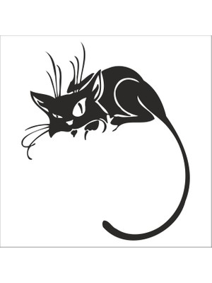 Technopa Kedi Folyo Sticker 174 90  cm Uzunluk