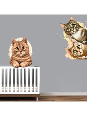 Kt Decoration Oda Arkadaşlarım Kediler Duvar Sticker Seti