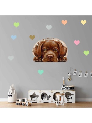 Kt Decoration Sevimli Köpek ile Renkli Kalpler Çocuk Odası Duvar Sticker