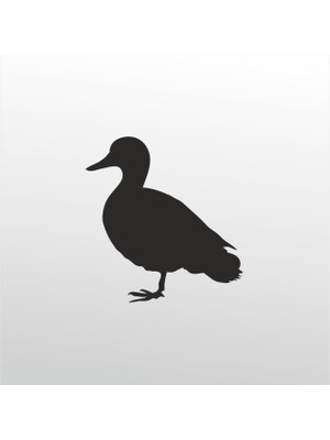 Technopa Folyo Sticker Ördek 30 cm Uzunluk