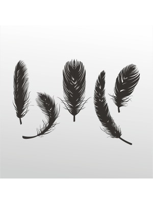 Technopa Folyo Sticker Tüy 130 cm Uzunluk