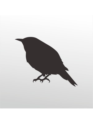 Technopa Folyo Sticker Serçe 102 160 cm Uzunluk