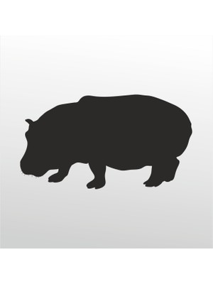 Technopa Folyo Sticker Su Aygırı 60 cm Uzunluk