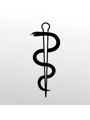 Technopa Folyo Sticker Yılan 50 cm Uzunluk