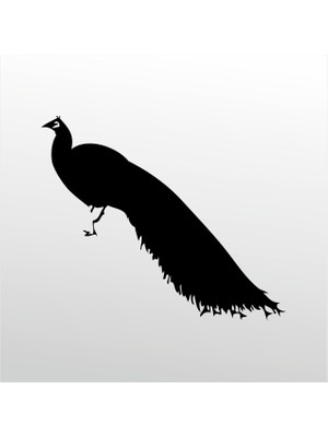 Technopa Folyo Sticker Tavuz Kuşu 50 cm Uzunluk