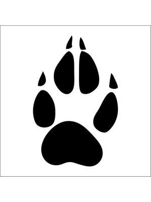 Technopa Pati İzi Folyo Sticker 11 30 cm Uzunluk