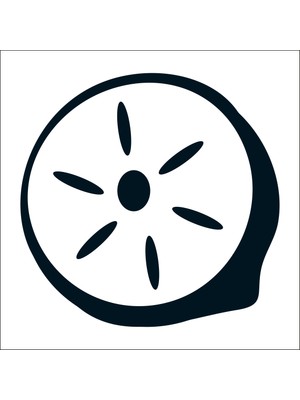 Technopa Limon Folyo Sticker 11 30 cm Uzunluk