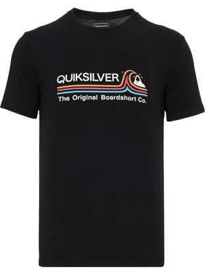 Quiksilver Stonecoldclassi Erkek T-Shirt