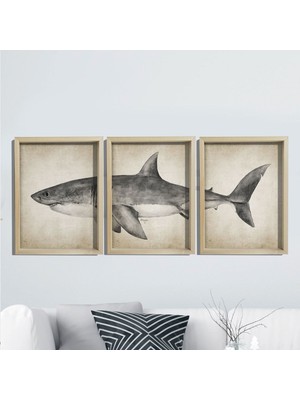 Dekor Loft Doğal Çam Çerçeveli Duvar Tablosu Antik Büyük Beyaz Köpekbalığı